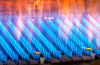 Bindon gas fired boilers